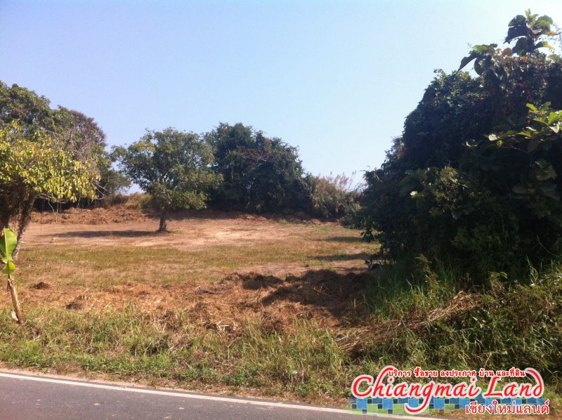 ตลาดซื้อขาย สินค้า ลงประกาศฟรี 