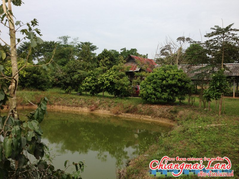 ตลาดซื้อขาย สินค้า ลงประกาศฟรี
