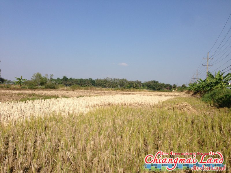 ตลาดซื้อขาย สินค้า ลงประกาศฟรี 