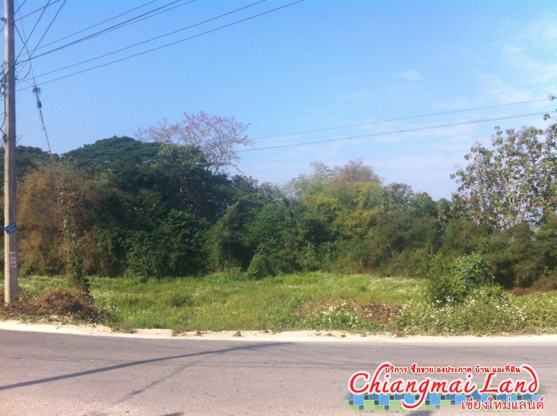 ตลาดซื้อขาย สินค้า ลงประกาศฟรี