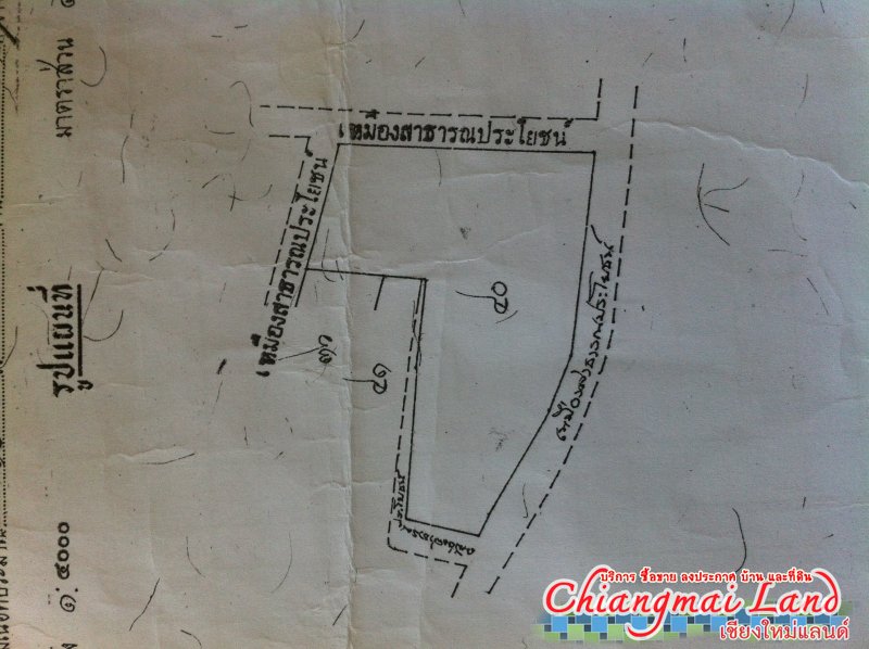 ตลาดซื้อขาย สินค้า ลงประกาศฟรี