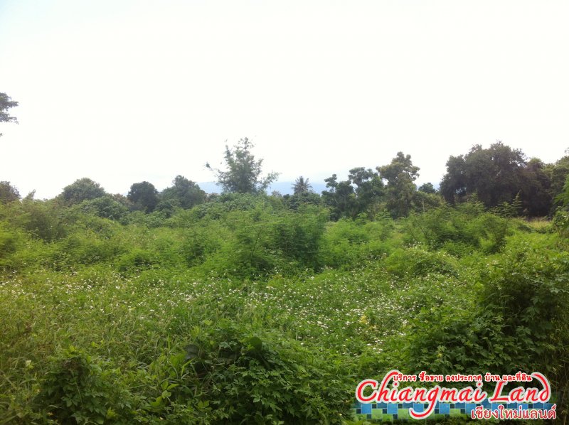 ตลาดซื้อขาย สินค้า ลงประกาศฟรี